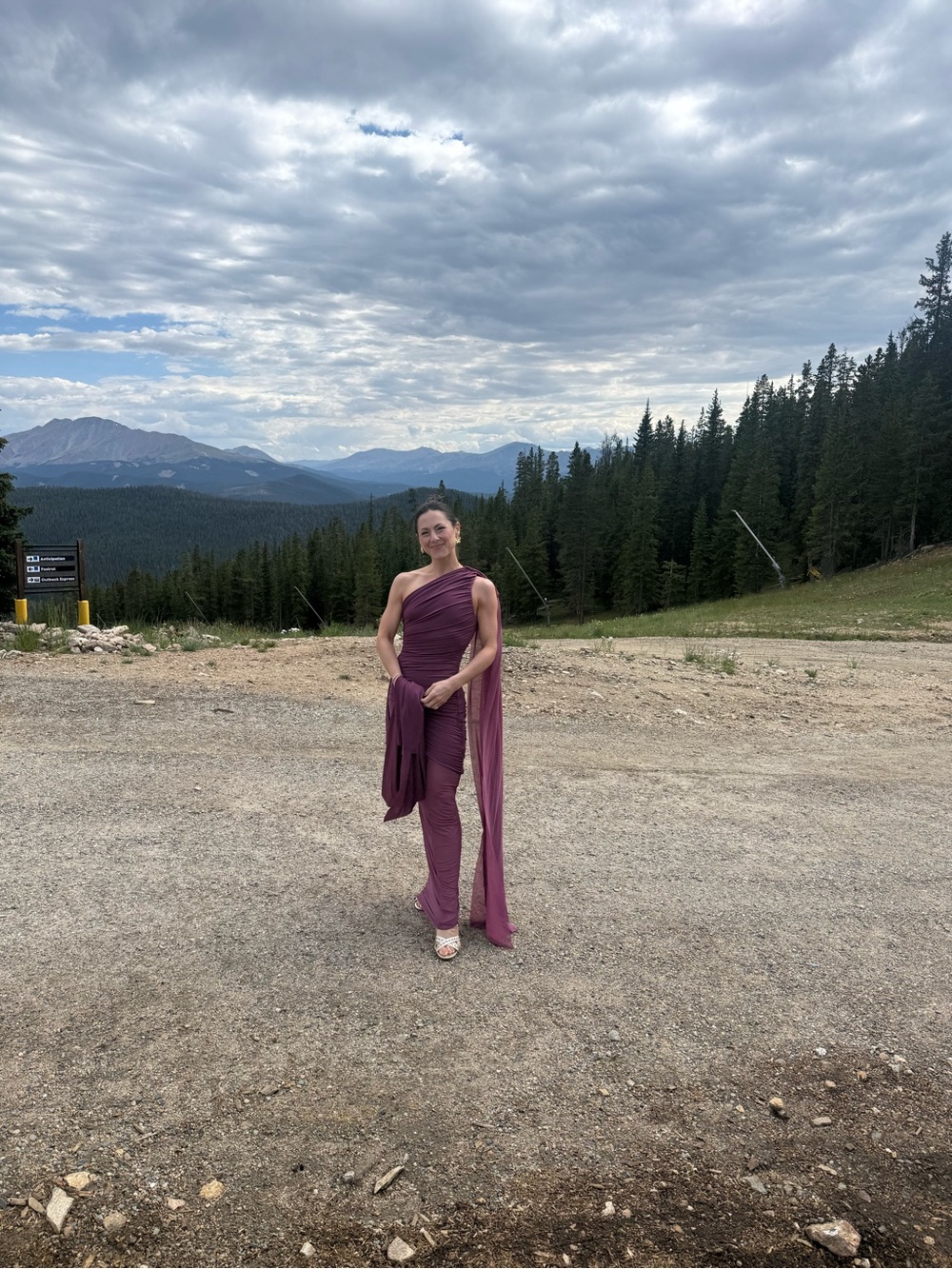 Meshki Asher Dress (LIKE NEW!) - One-Shoulder Draped Gown in Neutral Plum - Picture 4 of 4